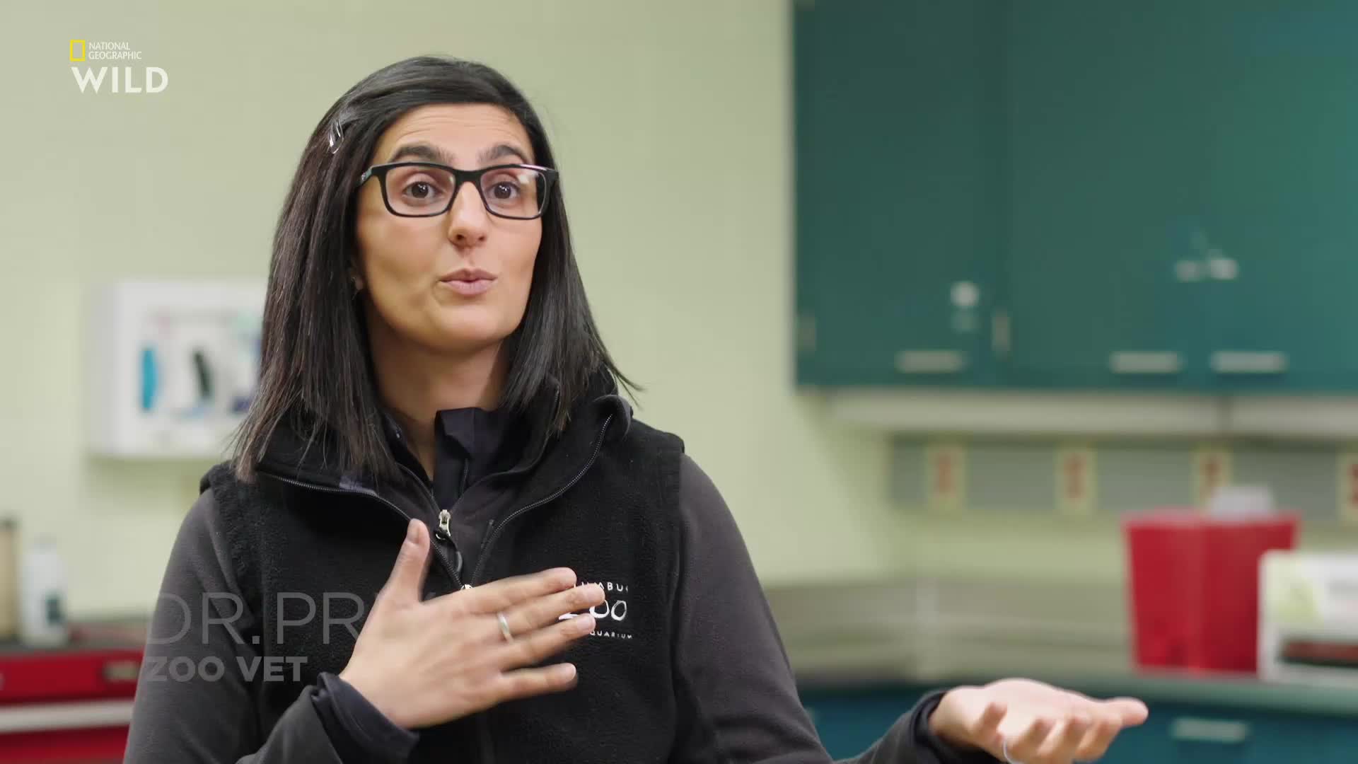 NO NAT GEO WILD HD [MULTI SUB] - NORWAY